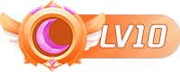 等级-LV10-云海资源网